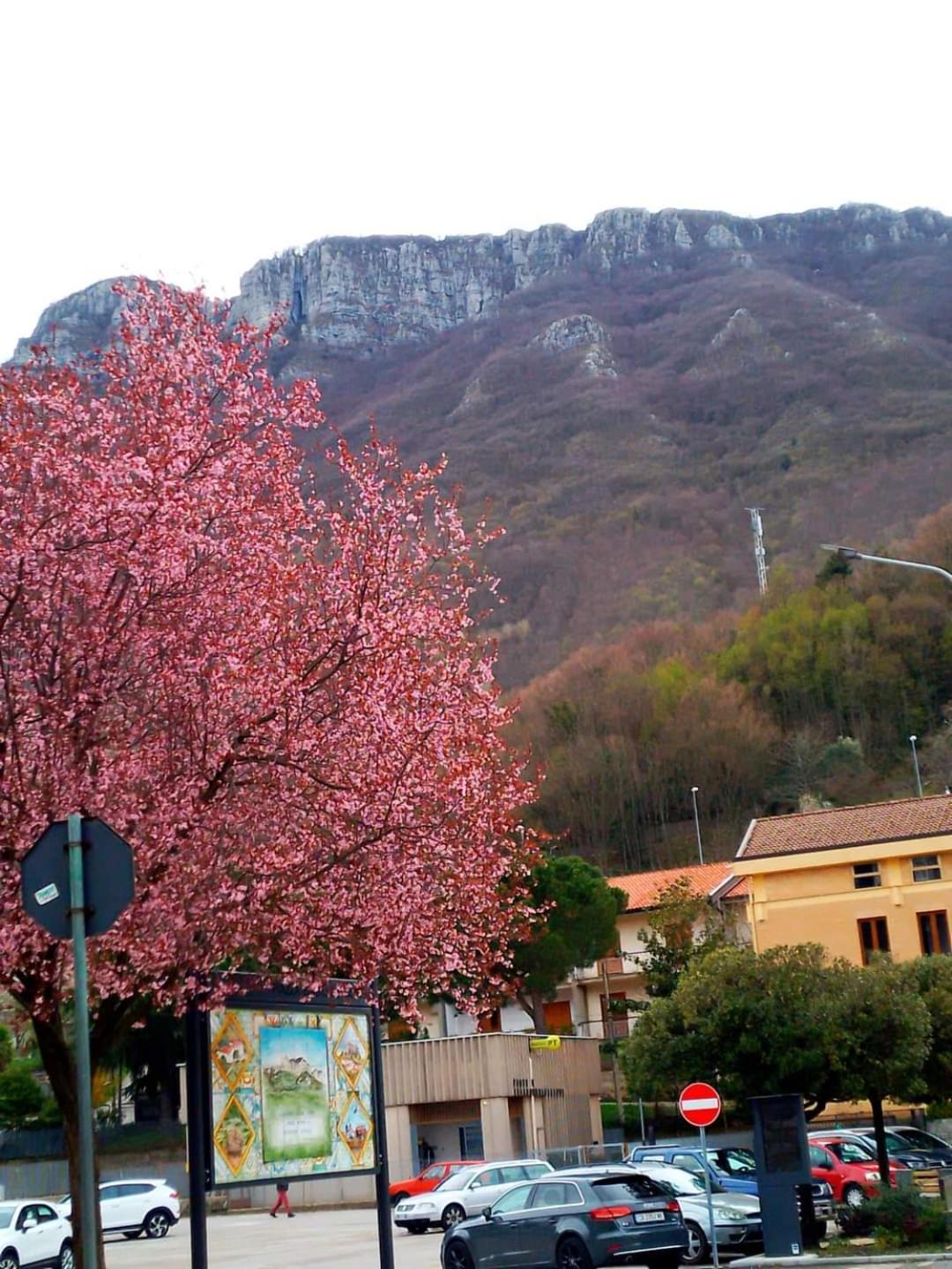 Sapori E Sapere Di Troisi Margherita Sicignano degli Alburni Exteriör bild