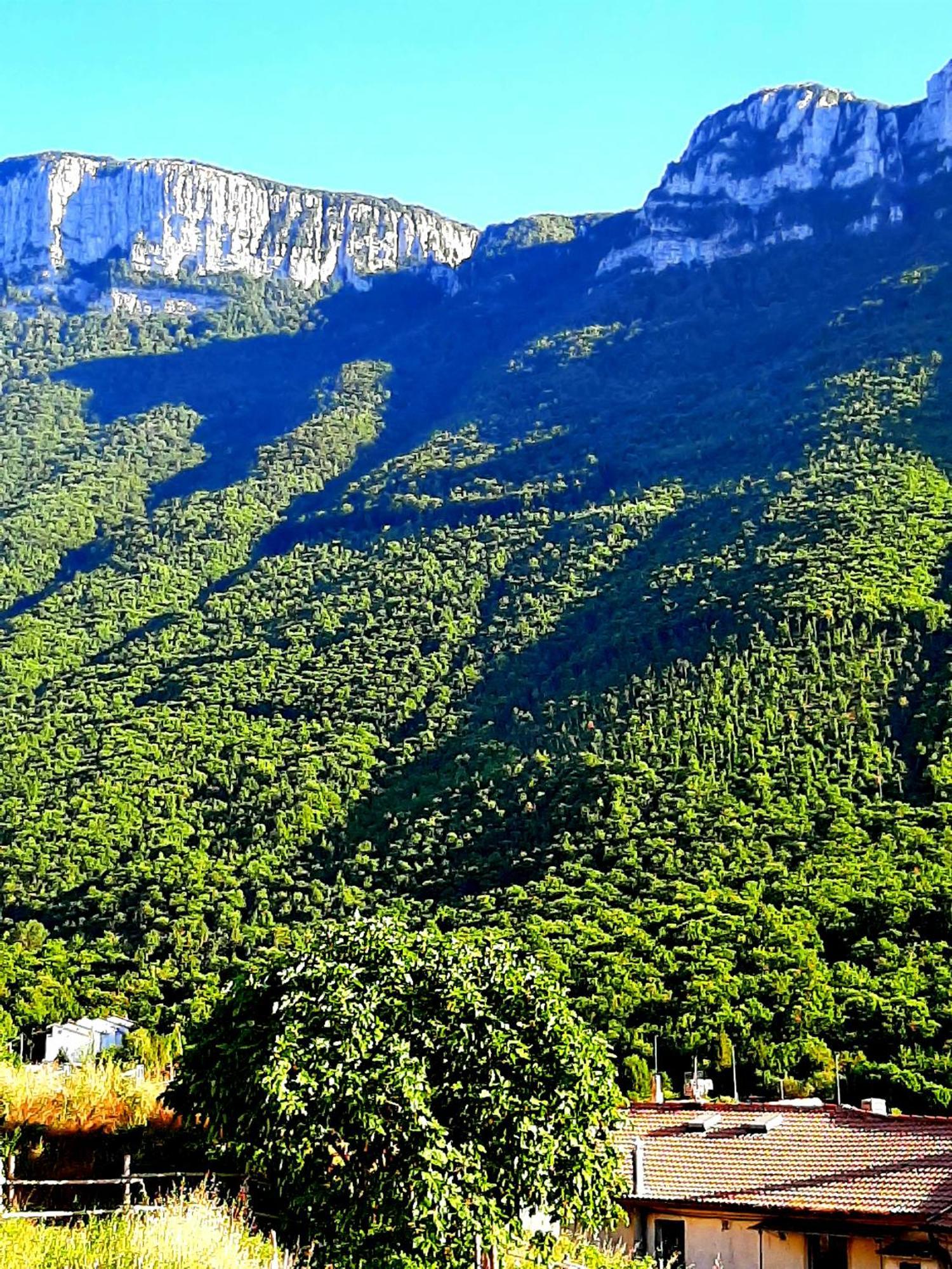 Sapori E Sapere Di Troisi Margherita Sicignano degli Alburni Exteriör bild
